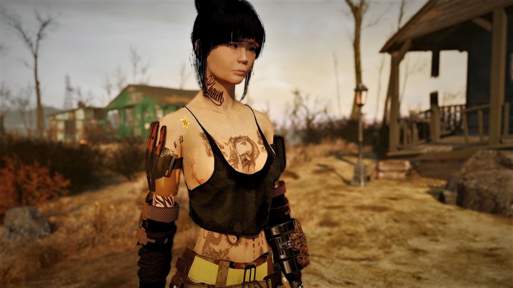 Fallout Screenshots XIV 20190911