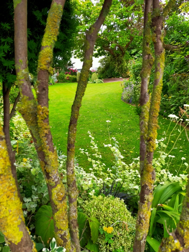 Michou - un jardin de curiosités et de botanique de Marie-Jo et de Michel " 44 " - Page 9 Img20180