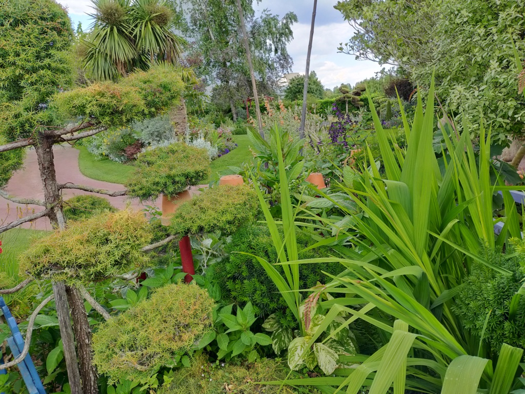 Niwaki, la taille en nuage, l'art topiaire, dans le jardin de Michel Img20294