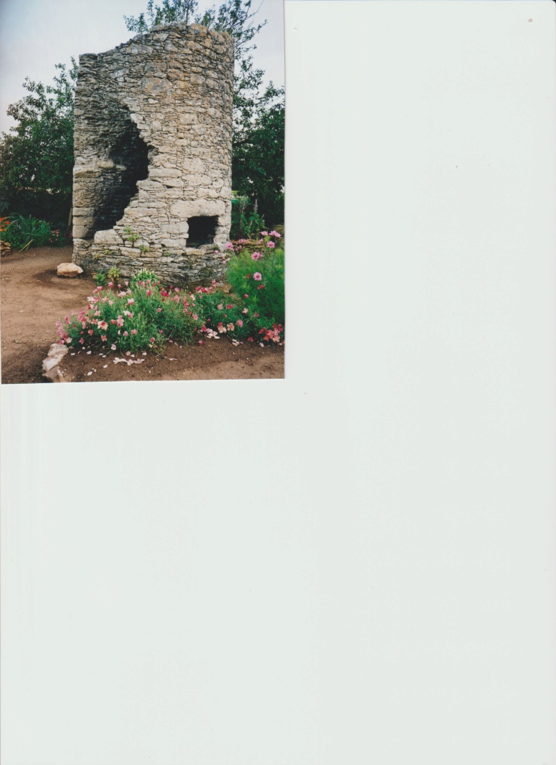 Michou - un jardin de curiosités et de botanique de Marie-Jo et de Michel " 44 " - Page 2 Numzor73