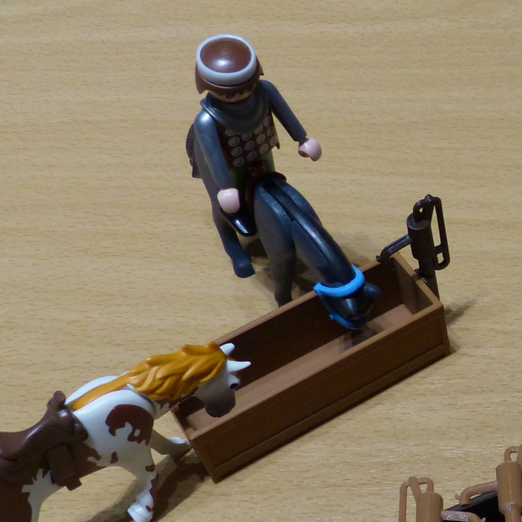 Thème Cowboys-Indiens-Western 3D pour Playmobil  Abreuv12