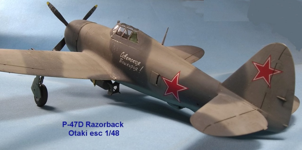 MT: P-47D Razorback - Otaki 1/48 P47ota18