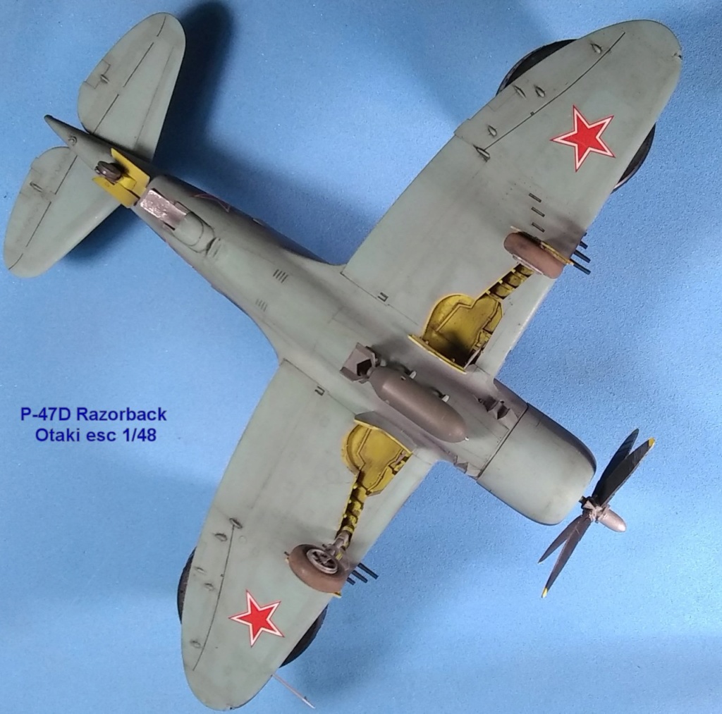 MT: P-47D Razorback - Otaki 1/48 P47ota21