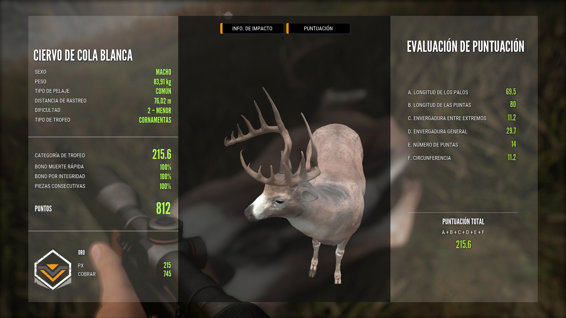 TOP 5 WHITETAIL 20190615