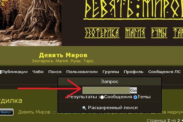 Как пользоваться поиском по форуму. Scree126
