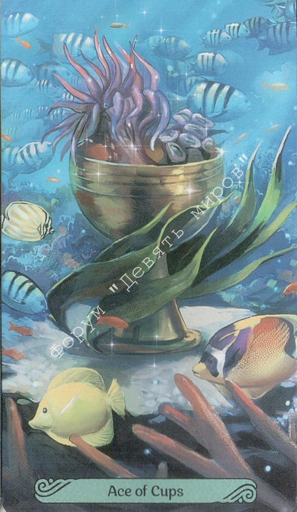 Таро Русалок (Mermaid Tarot) Water196