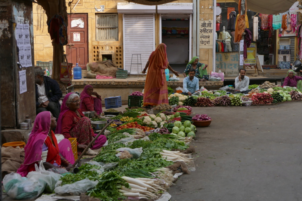 Rajasthan et Chhattisgarh 2024 P1300616