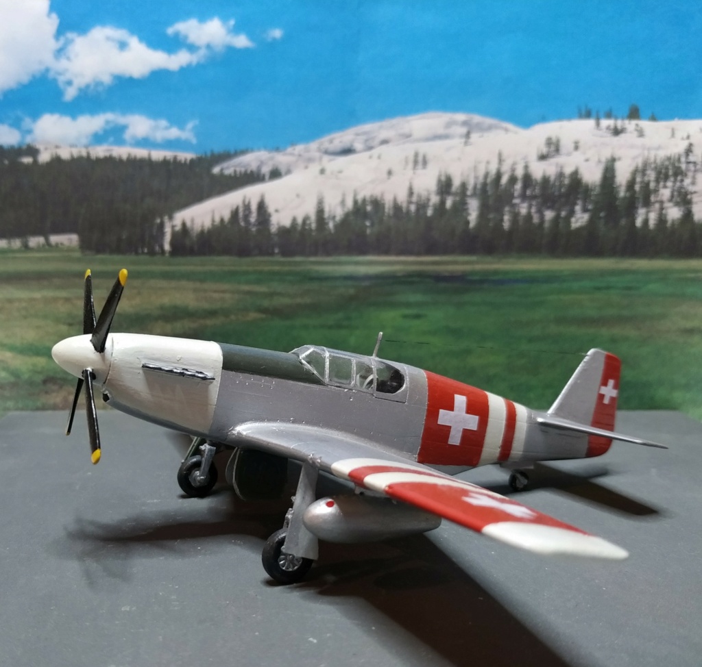 [MASTER CRAFT]  NORTH AMERICAN P-51B SWISS AIR FORCE Img_2174