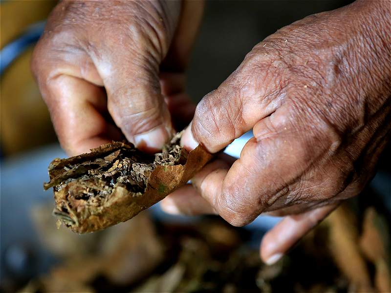 Pipas ceremoniales de los indígenas SIONA en Colombia Tabaco10
