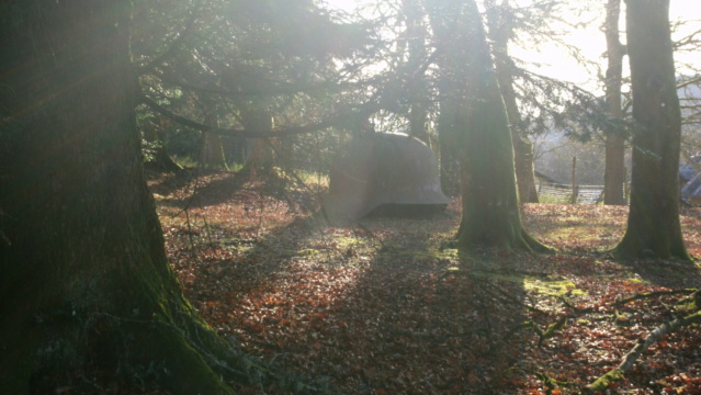 Bois de sculptures, Ile de Vassivière (Limousin) Apdc0703