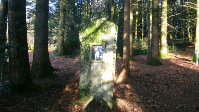 Bois de sculptures, Ile de Vassivière (Limousin) Apdc0708