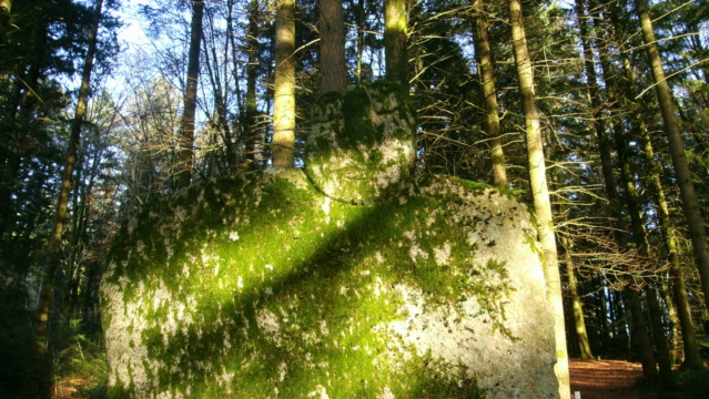 Bois de sculptures, Ile de Vassivière (Limousin) Apdc0709