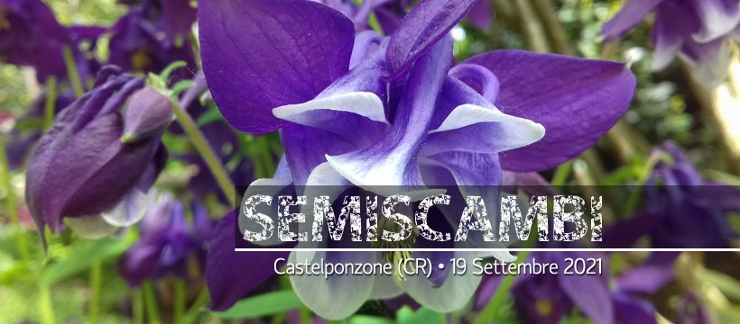 SeMiScambi 2021 a CASTELPONZONE (CR) il 19 settembre 2021 Copert10