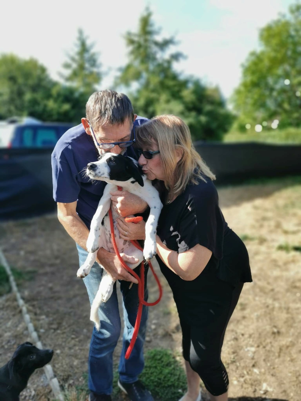 TINA (BREE) - Chiot femelle croisée de taille moyenne à l'âge adulte - Née environ en Mars 2022 - Adoptée par Catherine en France  Rece4280