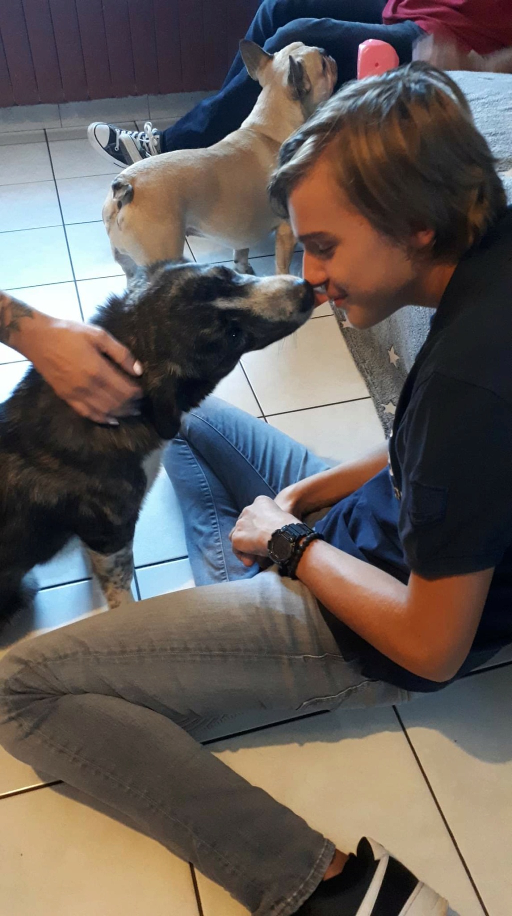 TOBBY (ex TWIX) - Mâle croisé de petite taille - Né environ en Juillet 2021 - Adopté par Nadine en Belgique  Rece4334