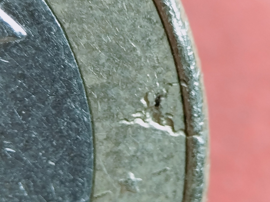 España 1 euro - 2018 - falta metal en anillo Img20298