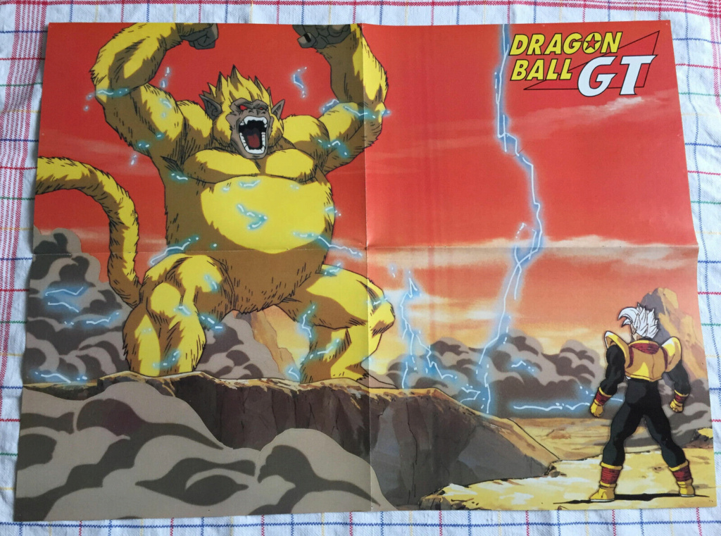 Posters Dragon Ball Z 2495