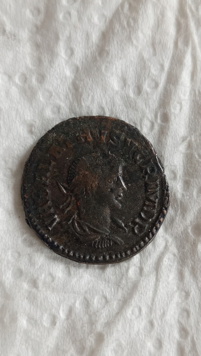  Romaine a deux empereurs Img20291