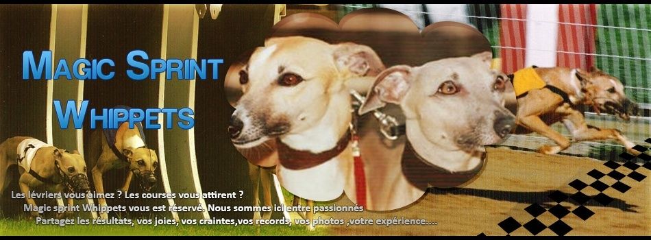 Réglement Bannie10