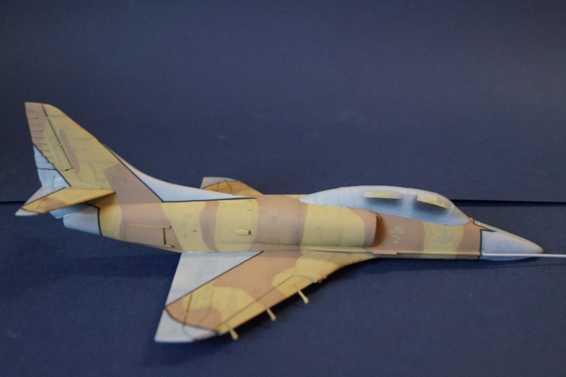 [Hasegawa] TA-4J Skyhawk agressor Dsc00616