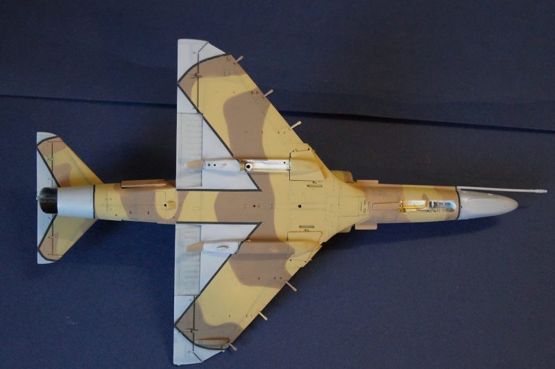 [Hasegawa] TA-4J Skyhawk agressor Dsc00619
