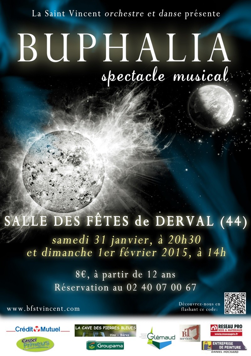 BUPHALIA par la Saint Vincent Orchestre et Danse Dec14_10