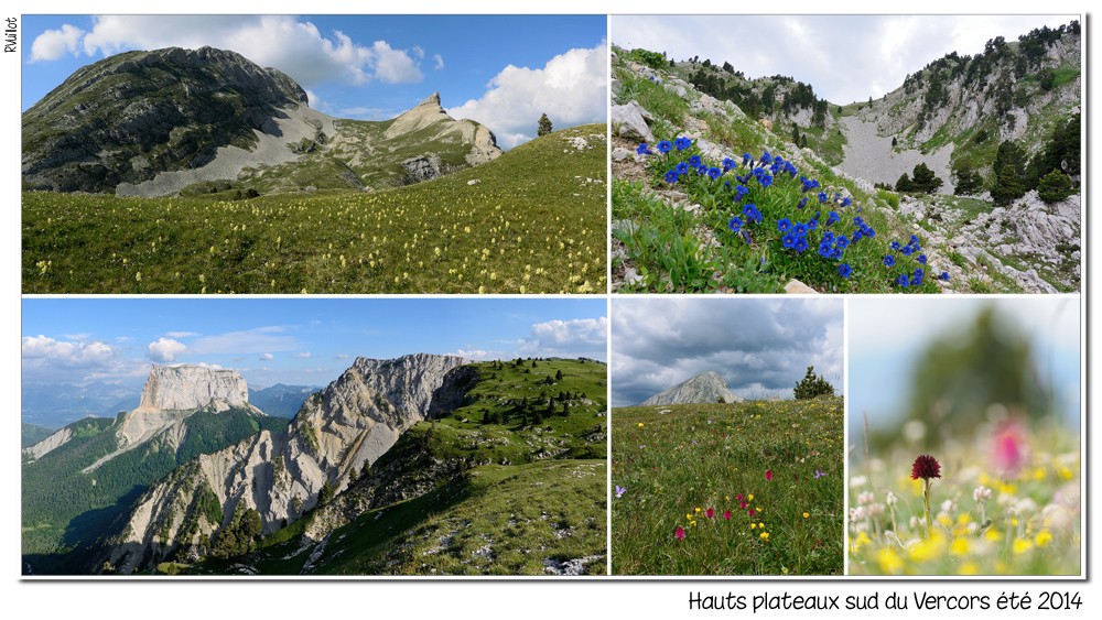 les Hts plateaux sud du Vercors au fil des saisons (2014) 14-10-37