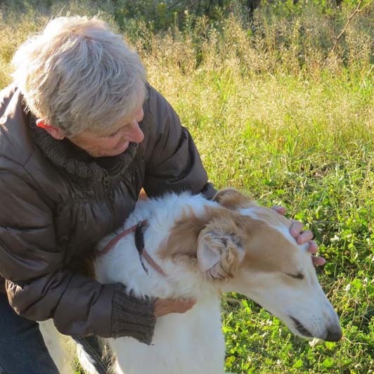 Chopin barzoi à l'adoption "sans collier provence" Chopin12