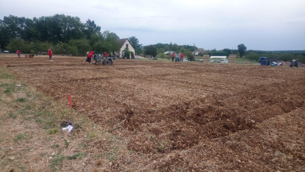 concour de labour thiviers 2019 Dsc_0831