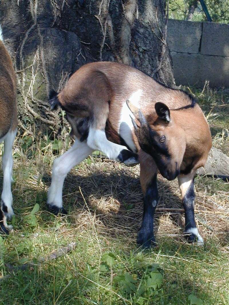 notre petite mascotte devient ado. Vacanc12