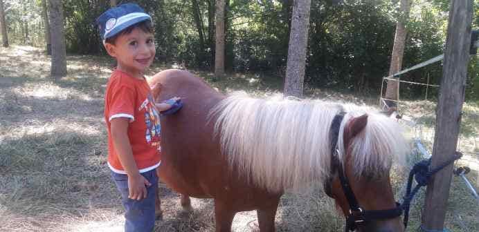 Qui sont les poneys et chevaux qui vous attendent? 69231611