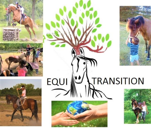 EQUITRANSITION