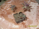 Moje biljke  Slacko - Page 2 Sdc10428