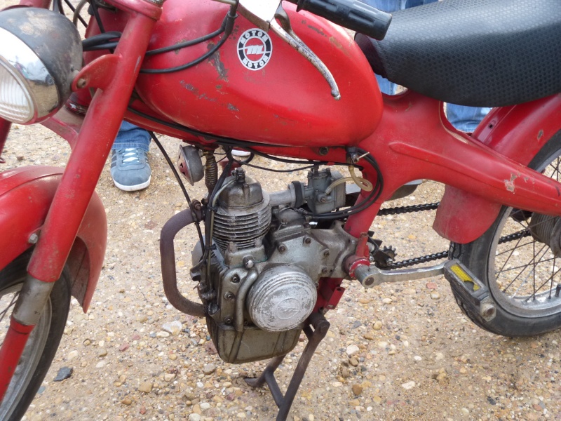 MOTOM P1030616