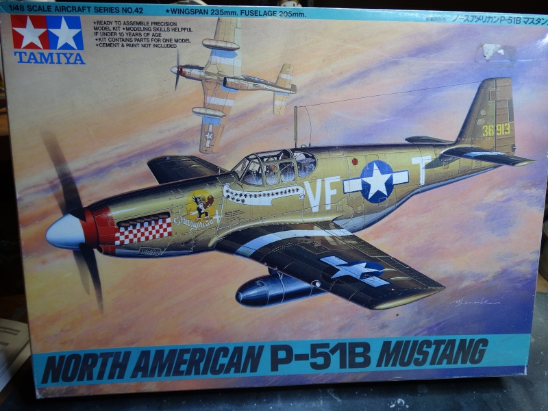 P-51B fini Dsc01512
