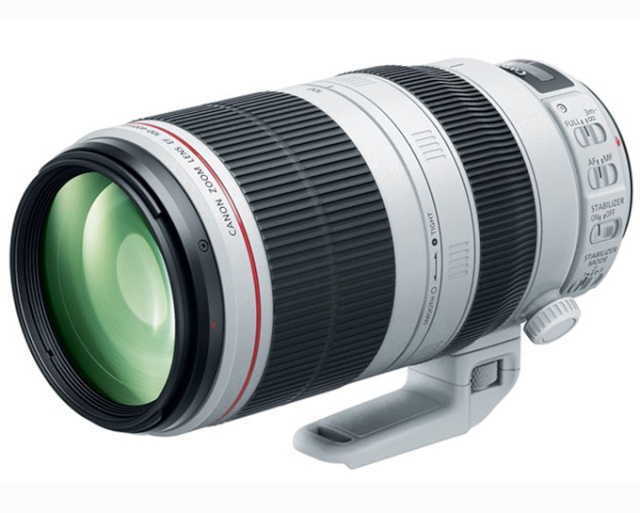 Canon EF 100-400 mm f/4,5-5,6L IS USM II Arton110