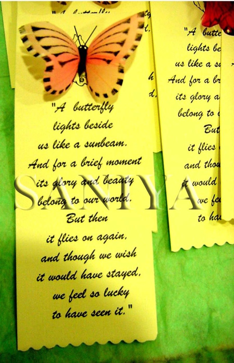 ~~!!!~~!butterfly feelings~~!! Butter10