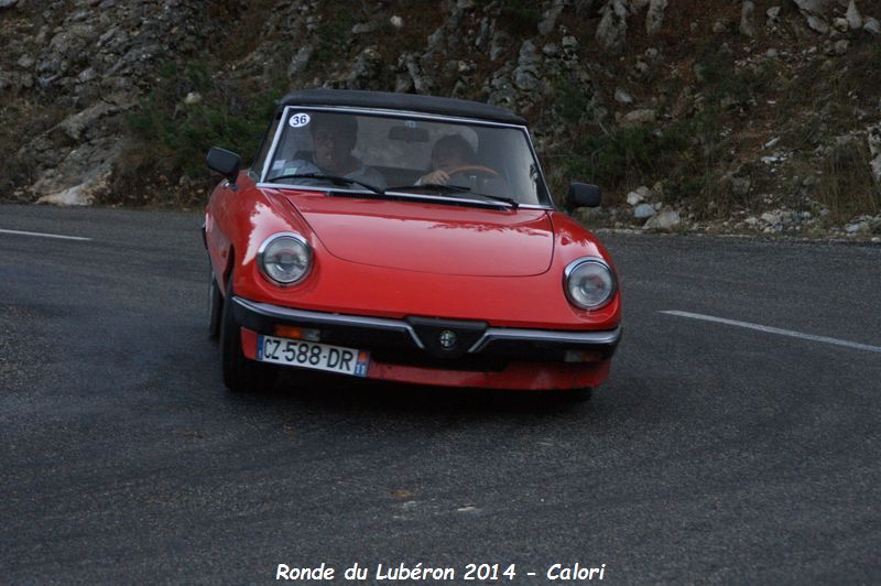 3ème Ronde en Pays de Lubéron samedi 22 novembre 2014 - Page 4 Dsc08248