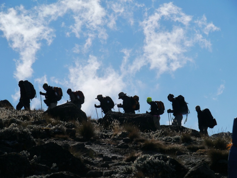 [TANZANIE] Le Kilimandjaro & Safaris (Oct 2014) P1560312