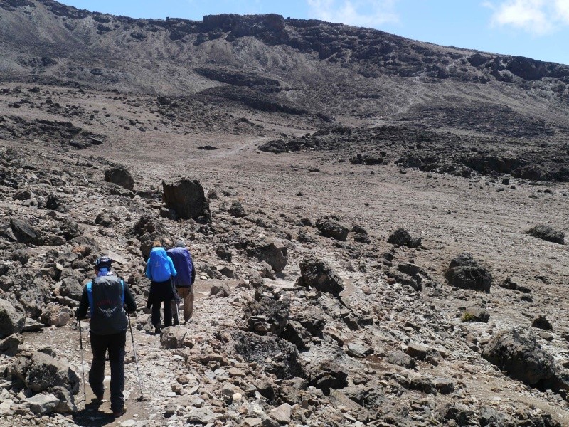 [TANZANIE] Le Kilimandjaro & Safaris (Oct 2014) P1560317