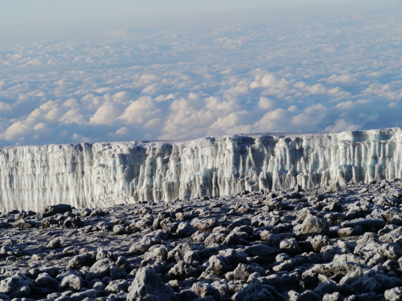 [TANZANIE] Le Kilimandjaro & Safaris (Oct 2014) P1560418