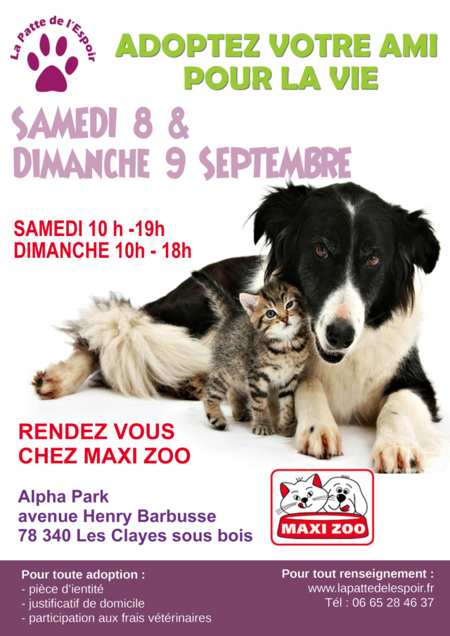 8 et 9 septembre 2018: WE adoption-collecte au MAXIZOO des Clayes-sous-bois (78) 2018-019