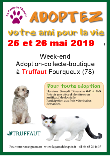25-26 mai 2019: Week-end Adoption-collecte-boutique à Truffaut - Fourqueux (78) 2019-010