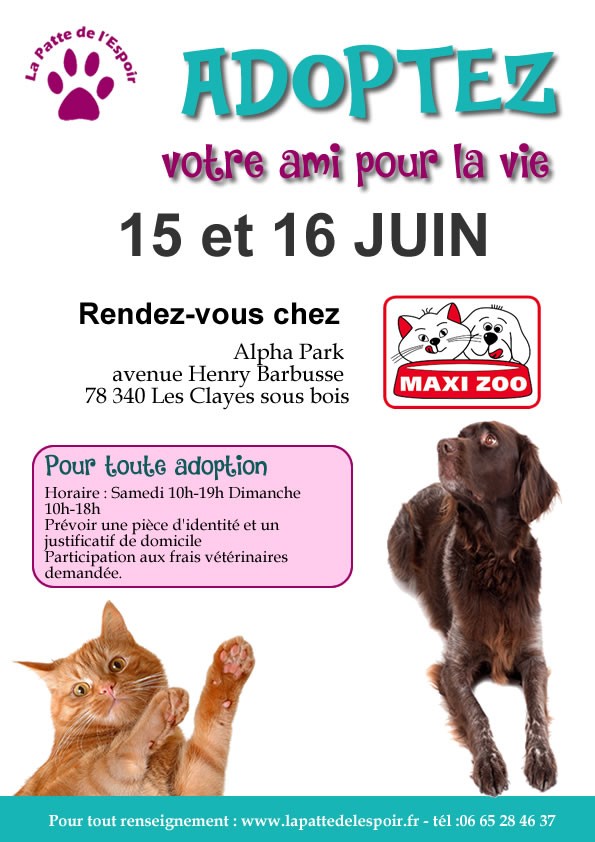 15 et 16 juin 2019: WE adoption-collecte au MAXIZOO des Clayes-sous-bois (78)  2019-037