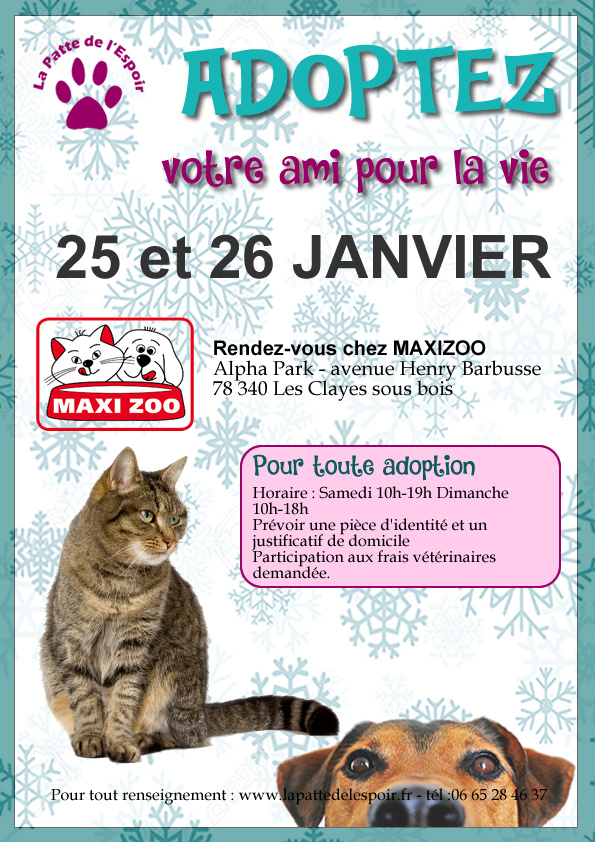 25 et 26 janvier 2020:  WE adoption-collecte au MAXIZOO des Clayes-sous-bois (78) 2020-010