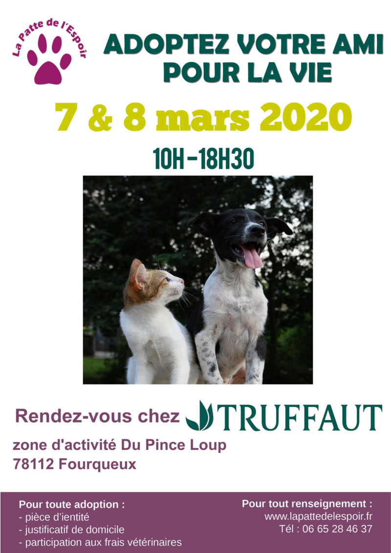 7 et 8 mars 2020: Week-end Adoption-collecte-boutique à Truffaut - Fourqueux (78) 2020-012