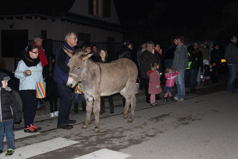 saint martin 2014 - Promenade de la Saint Martin le 11 novembre 2014 à 18h devant le Niedertor de Wangen Img_2446