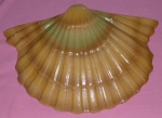Salisbury catalogues etc Shell_13