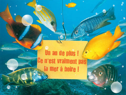 Joyeux Anniversaire D Mien Joyeux Anniversaire D Mien
