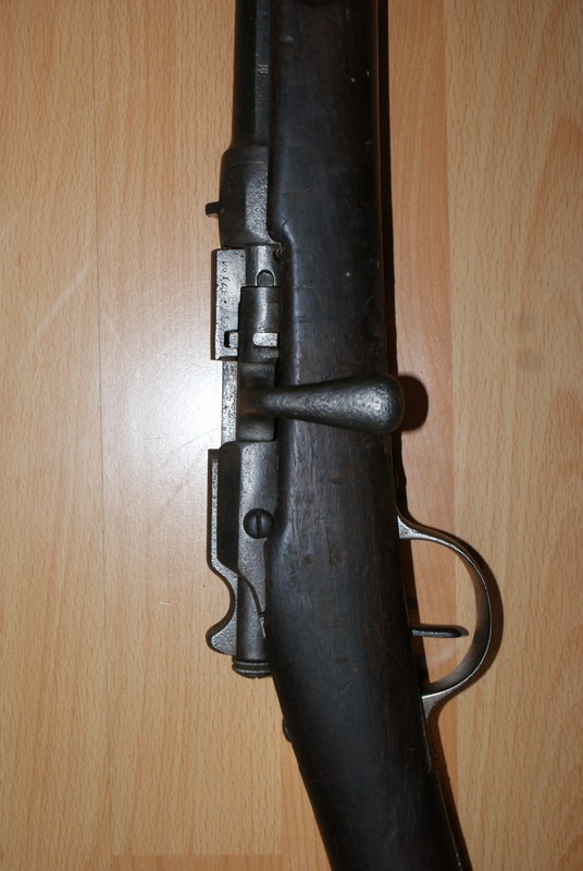 Arme modifiée pour la chasse Dsc00818